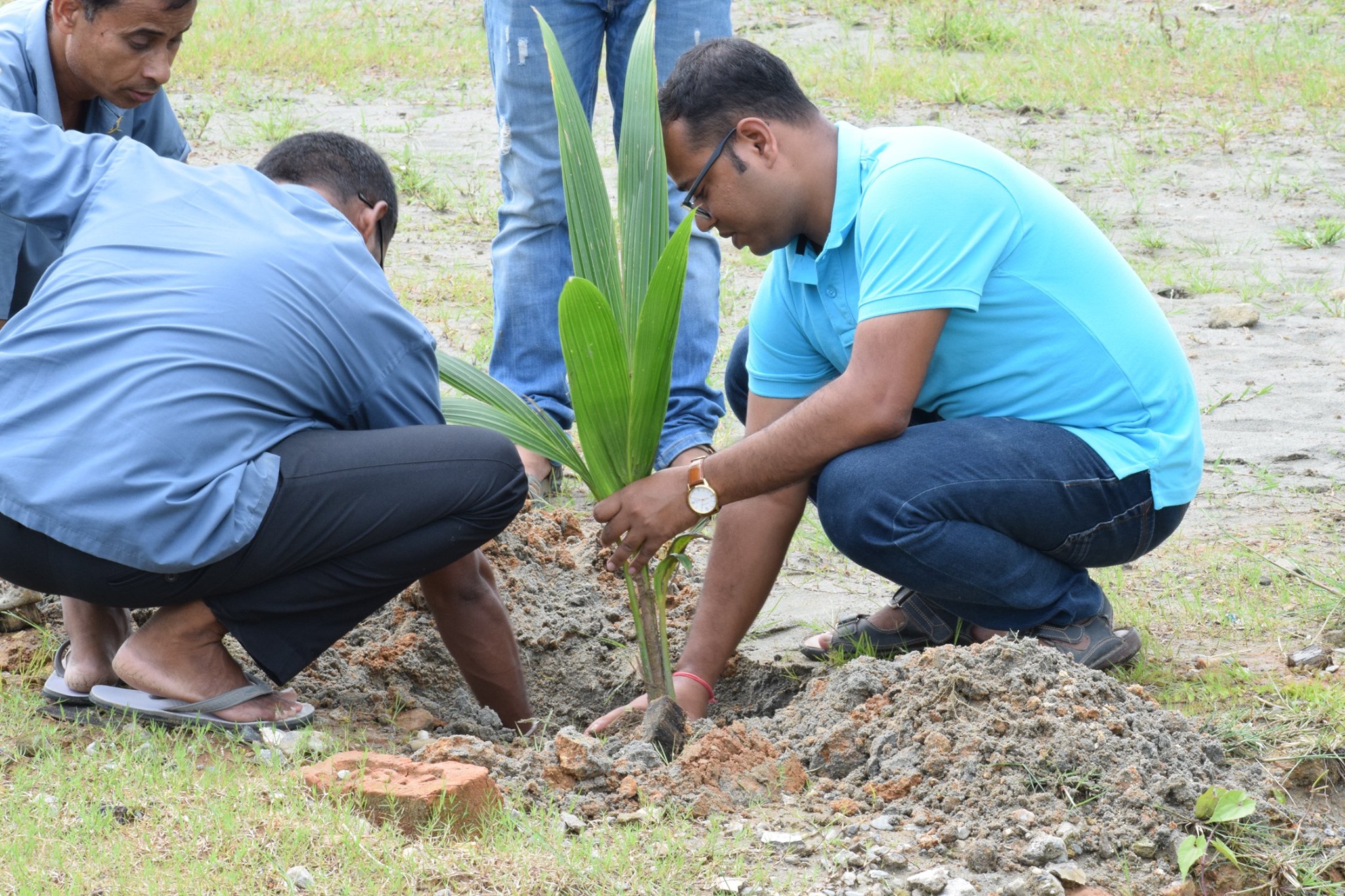 plantation
